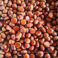 Chinese New Crop fresh organic chestnut price
